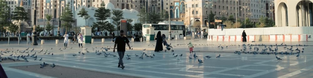 Mecca to Medina Train Fare 2026: Latest Haramain Train Ticket Prices and Travel Guide